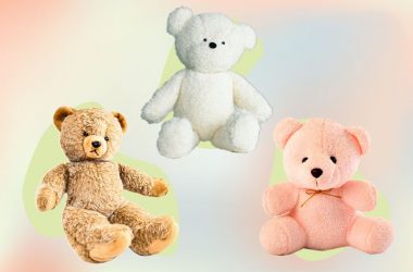 Recordable Teddy Bear As a Gift