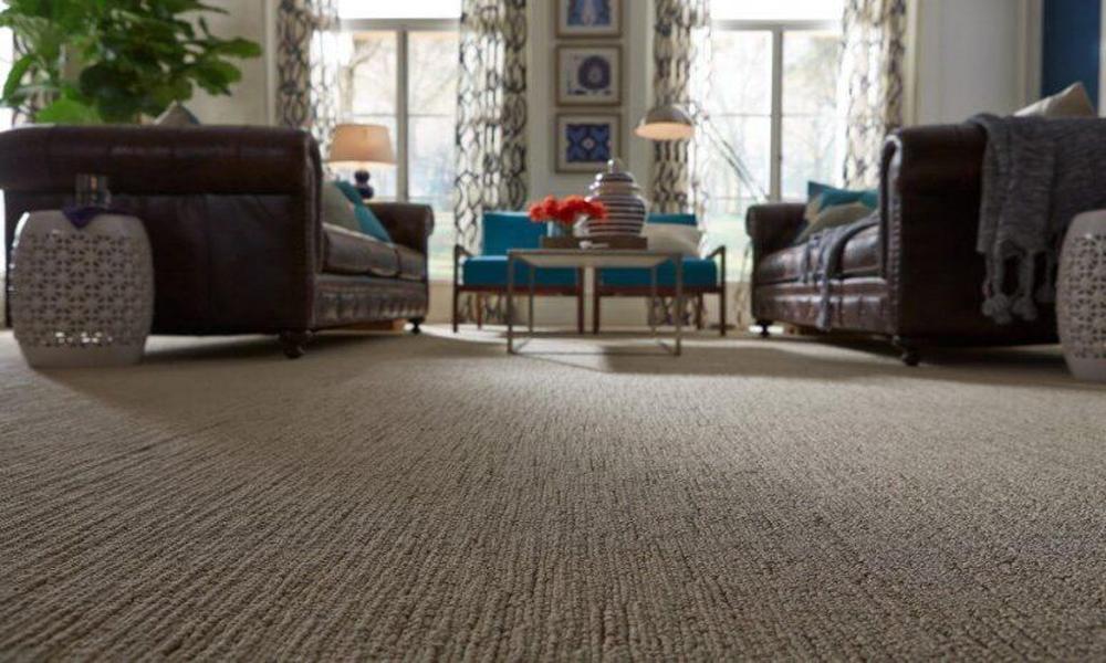 Why You Should Choose the Wall-To-Wall Carpets in Your Home