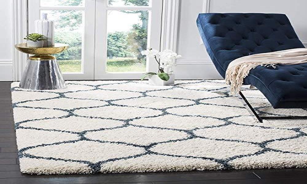 What is the difference between sisal rug and shaggy rugs